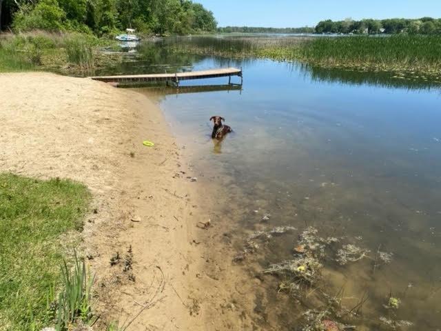 Amazing Lakefront Retreat On Long Lake! Home ポーテージ  エクステリア 写真